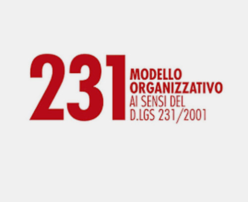 modelli 231